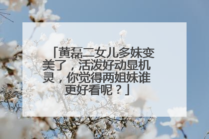 黄磊二女儿多妹变美了,活泼好动显机灵,你觉得两姐妹谁更好看呢?