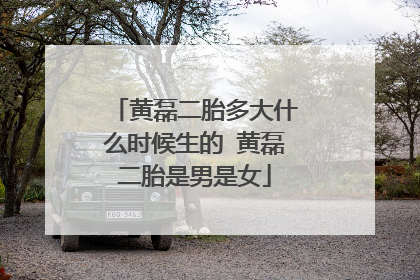 黄磊二胎多大什么时候生的 黄磊二胎是男是女