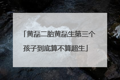 黄磊二胎黄磊生第三个孩子到底算不算超生
