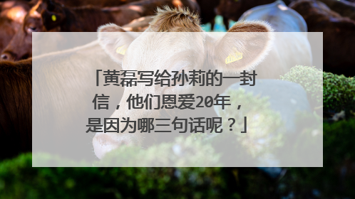 黄磊写给孙莉的一封信,他们恩爱20年,是因为哪三句话呢?
