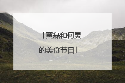 黄磊和何炅的美食节目