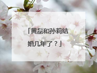 黄磊和孙莉结婚几年了？