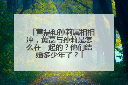 黄磊和孙莉属相相冲，黄磊与孙莉是怎么在一起的？他们结婚多少年了？