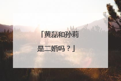 黄磊和孙莉是二婚吗？