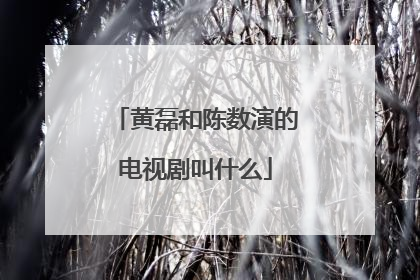 黄磊和陈数演的电视剧叫什么