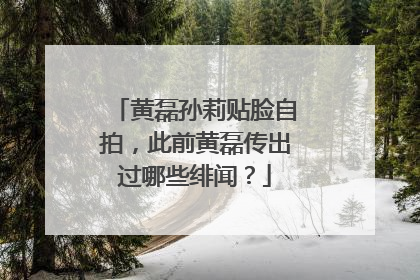 黄磊孙莉贴脸自拍，此前黄磊传出过哪些绯闻？