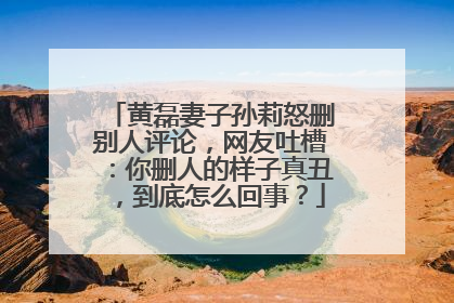 黄磊妻子孙莉怒删别人评论，网友吐槽：你删人的样子真丑，到底怎么回事？