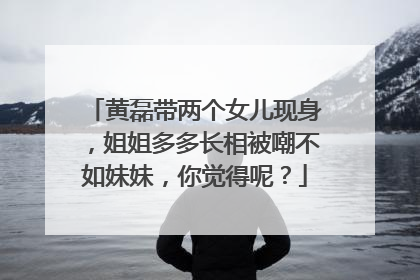 黄磊带两个女儿现身，姐姐多多长相被嘲不如妹妹，你觉得呢？