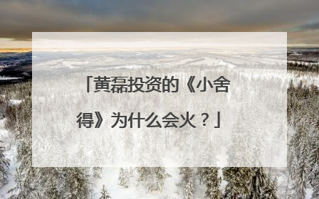 黄磊投资的《小舍得》为什么会火？