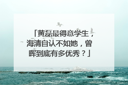 黄磊最得意学生,海清自认不如她,曾晖到底有多优秀?