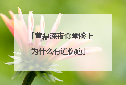 黄磊深夜食堂脸上为什么有道伤疤