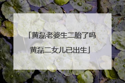 黄磊老婆生二胎了吗 黄磊二女儿已出生