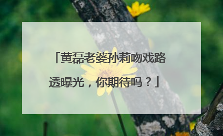 黄磊老婆孙莉吻戏路透曝光，你期待吗？