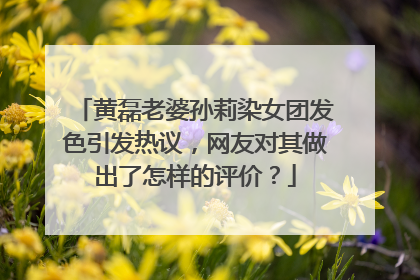 黄磊老婆孙莉染女团发色引发热议,网友对其做出了怎样的评价?