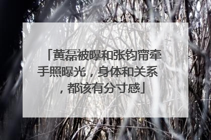 黄磊被曝和张钧甯牵手照曝光，身体和关系，都该有分寸感