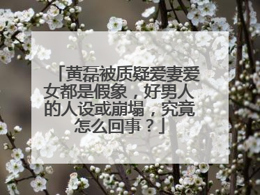 黄磊被质疑爱妻爱女都是假象,好男人的人设或崩塌,究竟怎么回事?