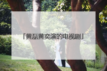 黄磊黄奕演的电视剧