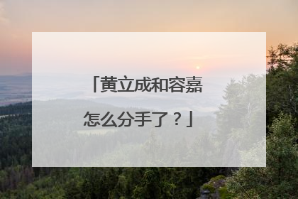 黄立成和容嘉怎么分手了？