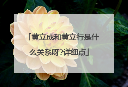 黄立成和黄立行是什么关系呀?详细点