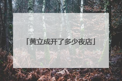 黄立成开了多少夜店