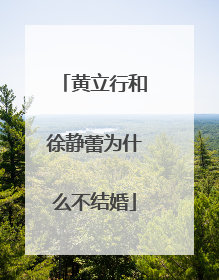 黄立行和徐静蕾为什么不结婚
