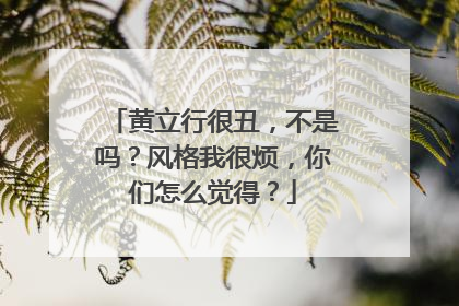 黄立行很丑，不是吗？风格我很烦，你们怎么觉得？