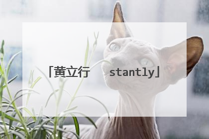 黄立行   stantly
