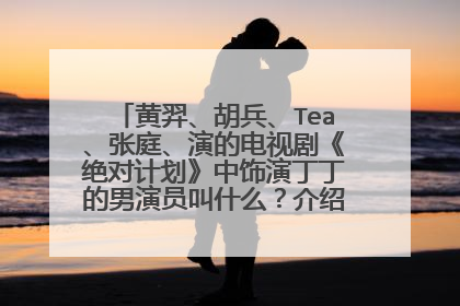 黄羿、胡兵、Tea、张庭、演的电视剧《绝对计划》中饰演丁丁的男演员叫什么？介绍下他资料。