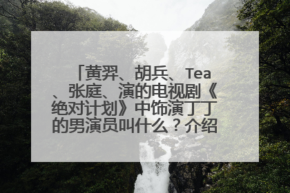黄羿、胡兵、Tea、张庭、演的电视剧《绝对计划》中饰演丁丁的男演员叫什么？介绍下他资料。