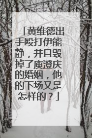黄维德出手殴打伊能静,并且毁掉了庾澄庆的婚姻,他的下场又是怎样的?