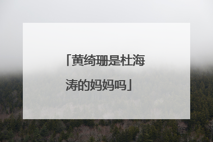 黄绮珊是杜海涛的妈妈吗