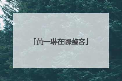 黄一琳在哪整容