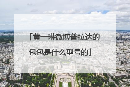 黄一琳微博普拉达的包包是什么型号的