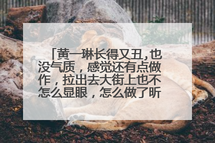黄一琳长得又丑,也没气质，感觉还有点做作，拉出去大街上也不怎么显眼，怎么做了昕薇的当家模特?