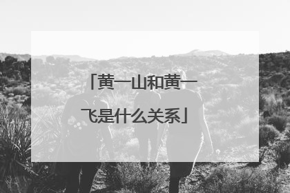 黄一山和黄一飞是什么关系