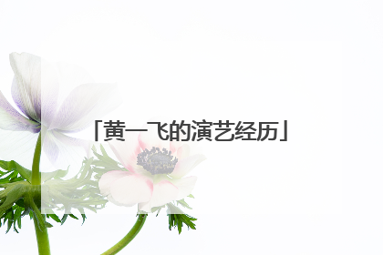 黄一飞的演艺经历