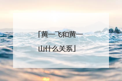 黄一飞和黄一山什么关系