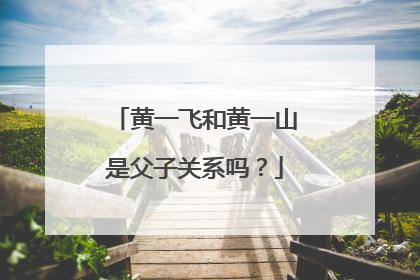 黄一飞和黄一山是父子关系吗？