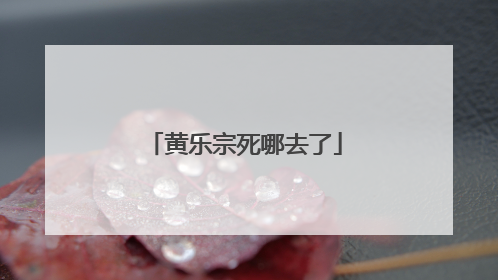 黄乐宗死哪去了