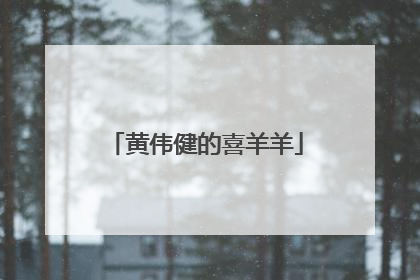 黄伟健的喜羊羊