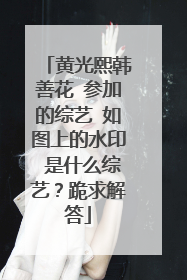 黄光熙韩善花 参加的综艺 如图上的水印 是什么综艺？跪求解答