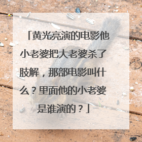 黄光亮演的电影他小老婆把大老婆杀了肢解,那部电影叫什么?里面他的小老婆是谁演的?