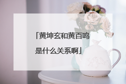 黄坤玄和黄百鸣是什么关系啊