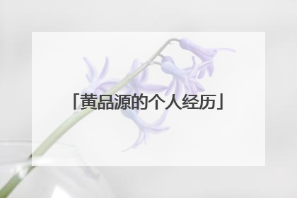 黄品源的个人经历
