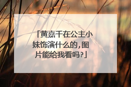 黄嘉千在公主小妹饰演什么的,图片能给我看吗?
