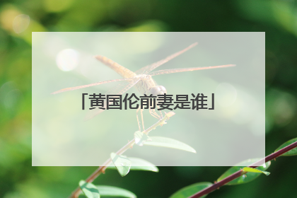 黄国伦前妻是谁