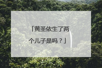 黄圣依生了两个儿子是吗？