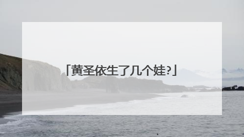 黄圣依生了几个娃?
