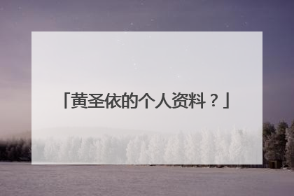 黄圣依的个人资料?