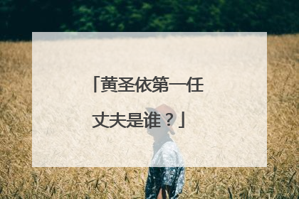 黄圣依第一任丈夫是谁?
